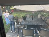 A rooster displaced Vicki from her breakfast
